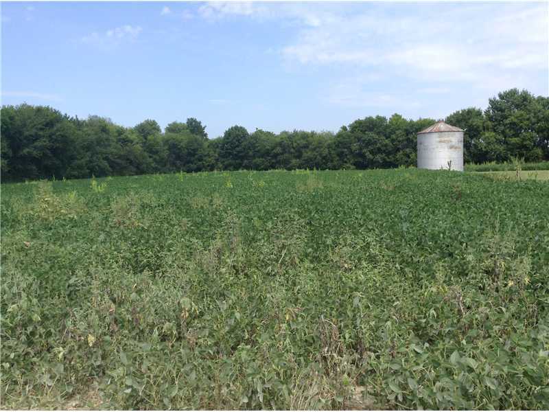 Listing 3365 N 900, Whitestown IN 46075